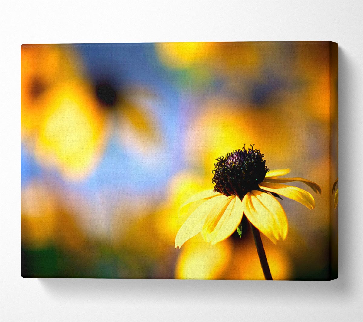 Cool Autumn Canvas Wall Art