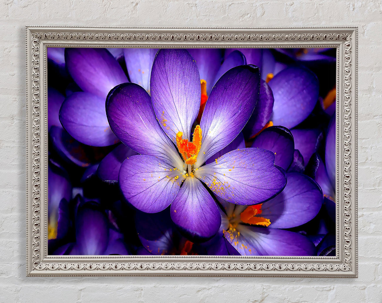 Crocuses Purple Framed Wall Art