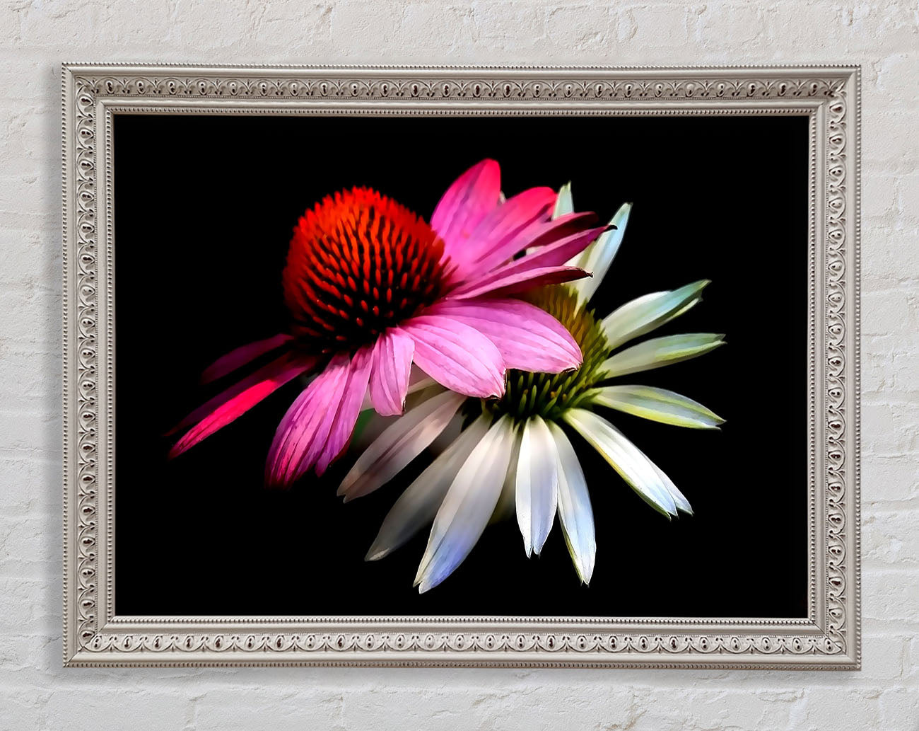 Cone Flowers Black Background Framed Wall Art