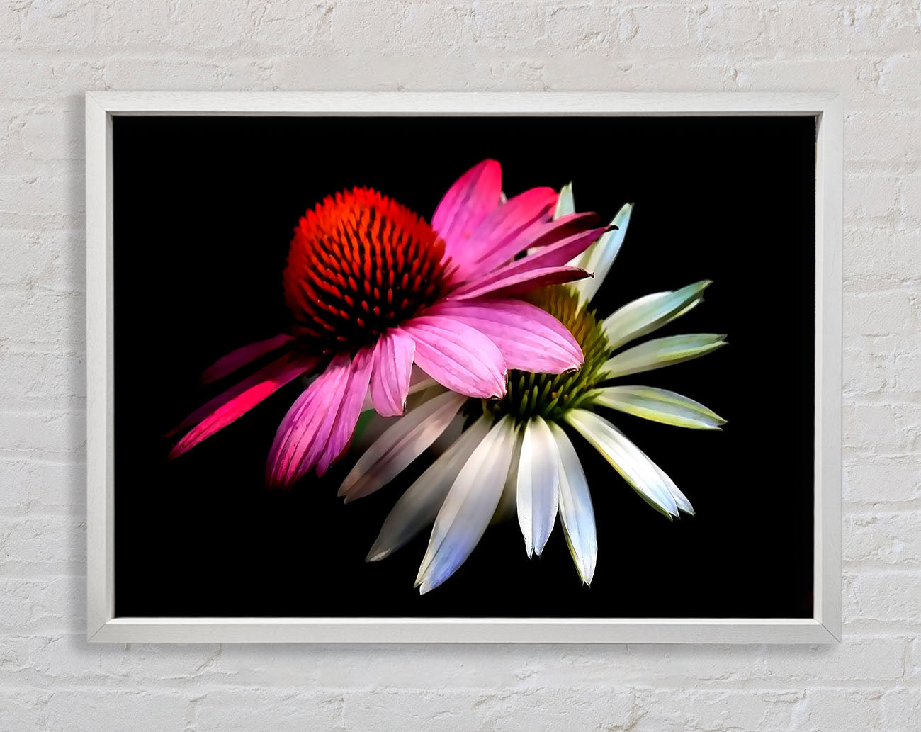 Cone Flowers Black Background Framed Wall Art