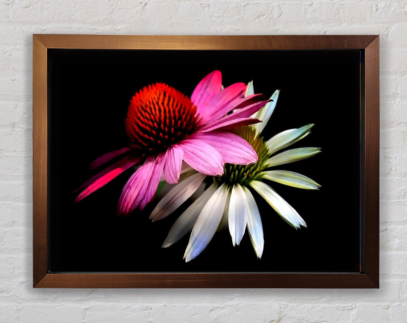 Cone Flowers Black Background Framed Wall Art