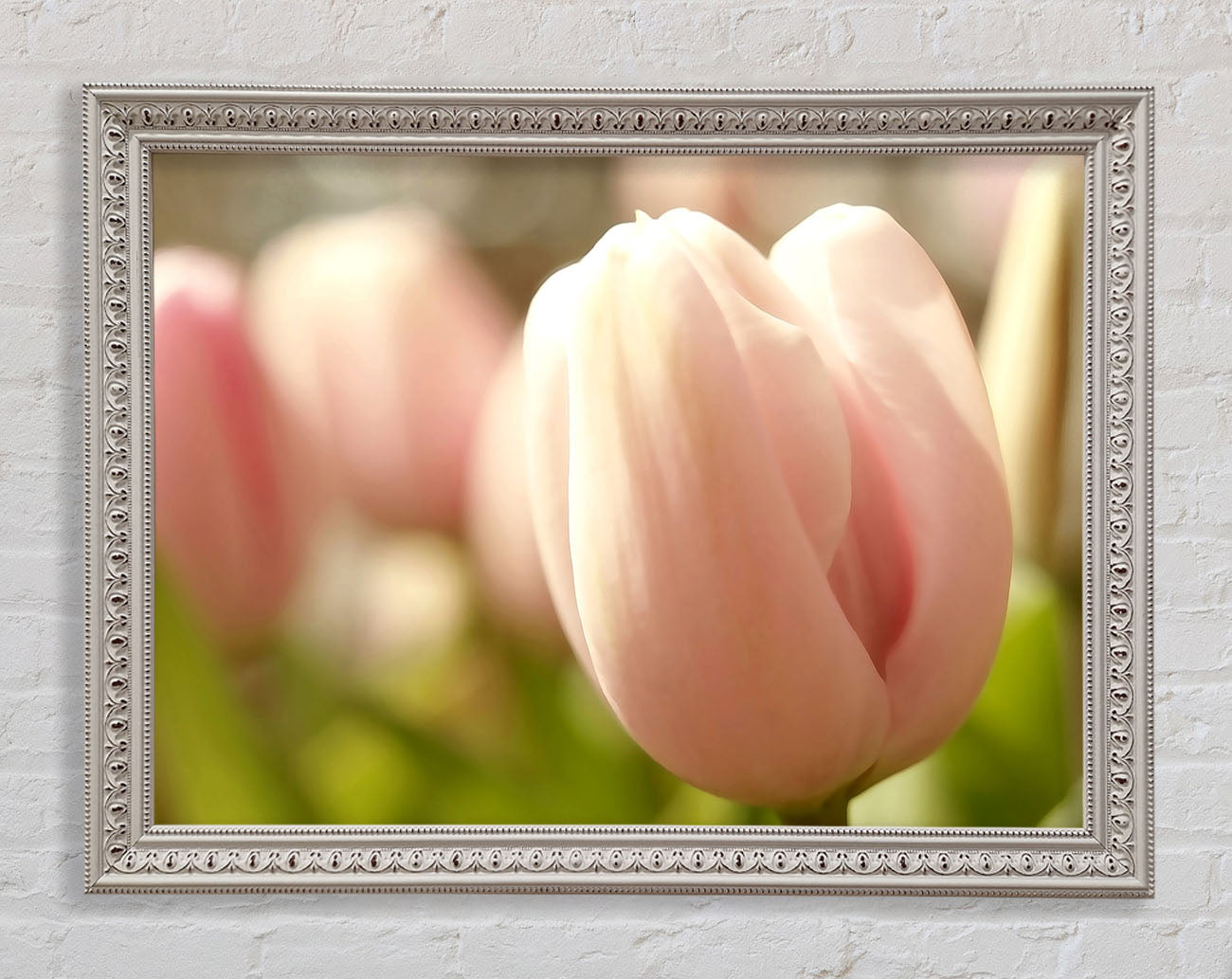 Baby Pink Tulip Framed Wall Art