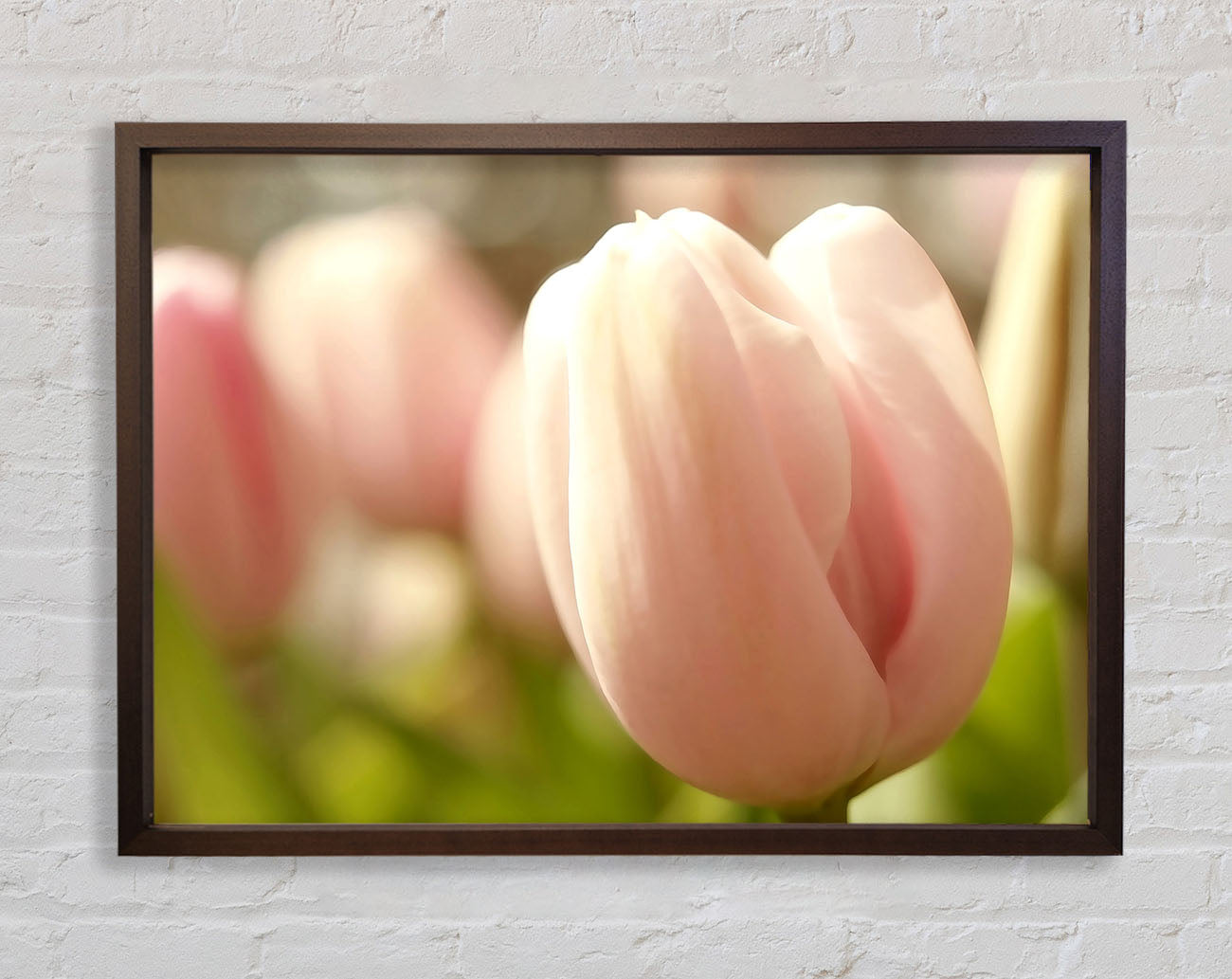 Baby Pink Tulip Framed Wall Art