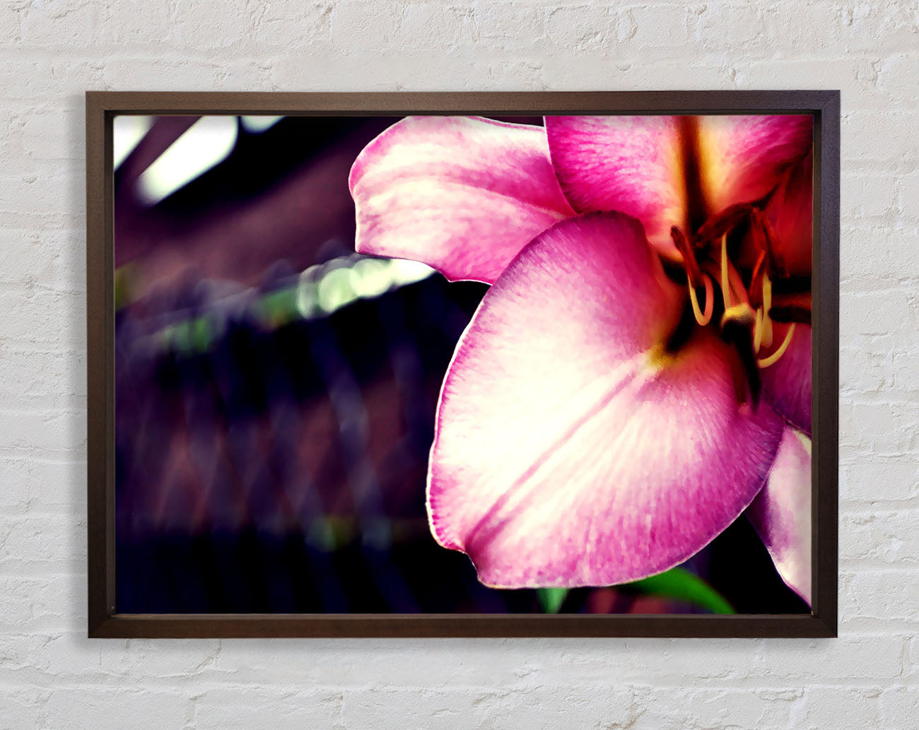 Close_up Of A Pink Petal Framed Wall Art