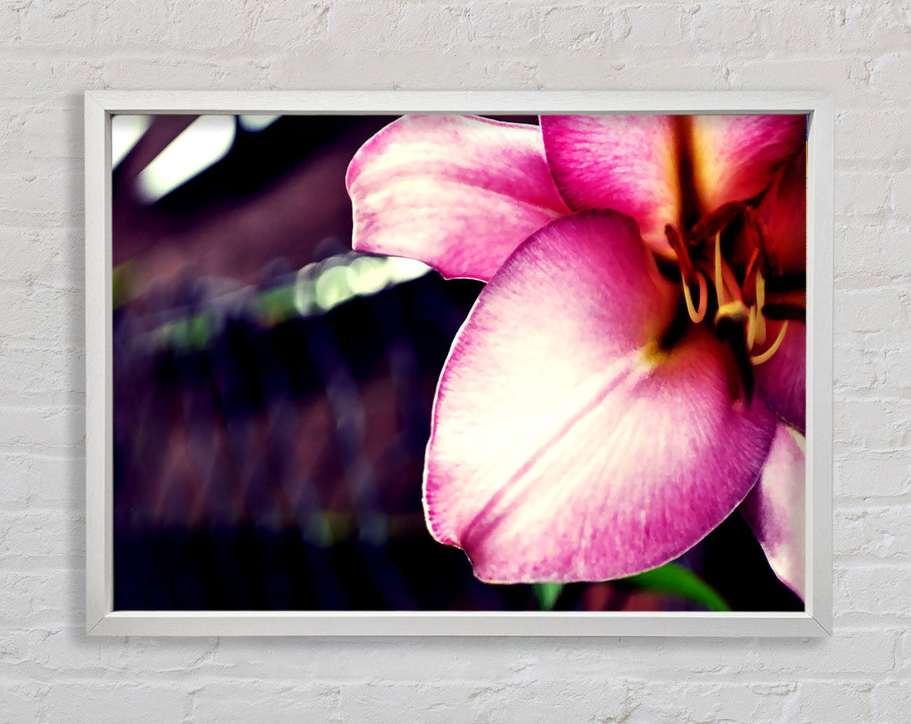 Close_up Of A Pink Petal Framed Wall Art