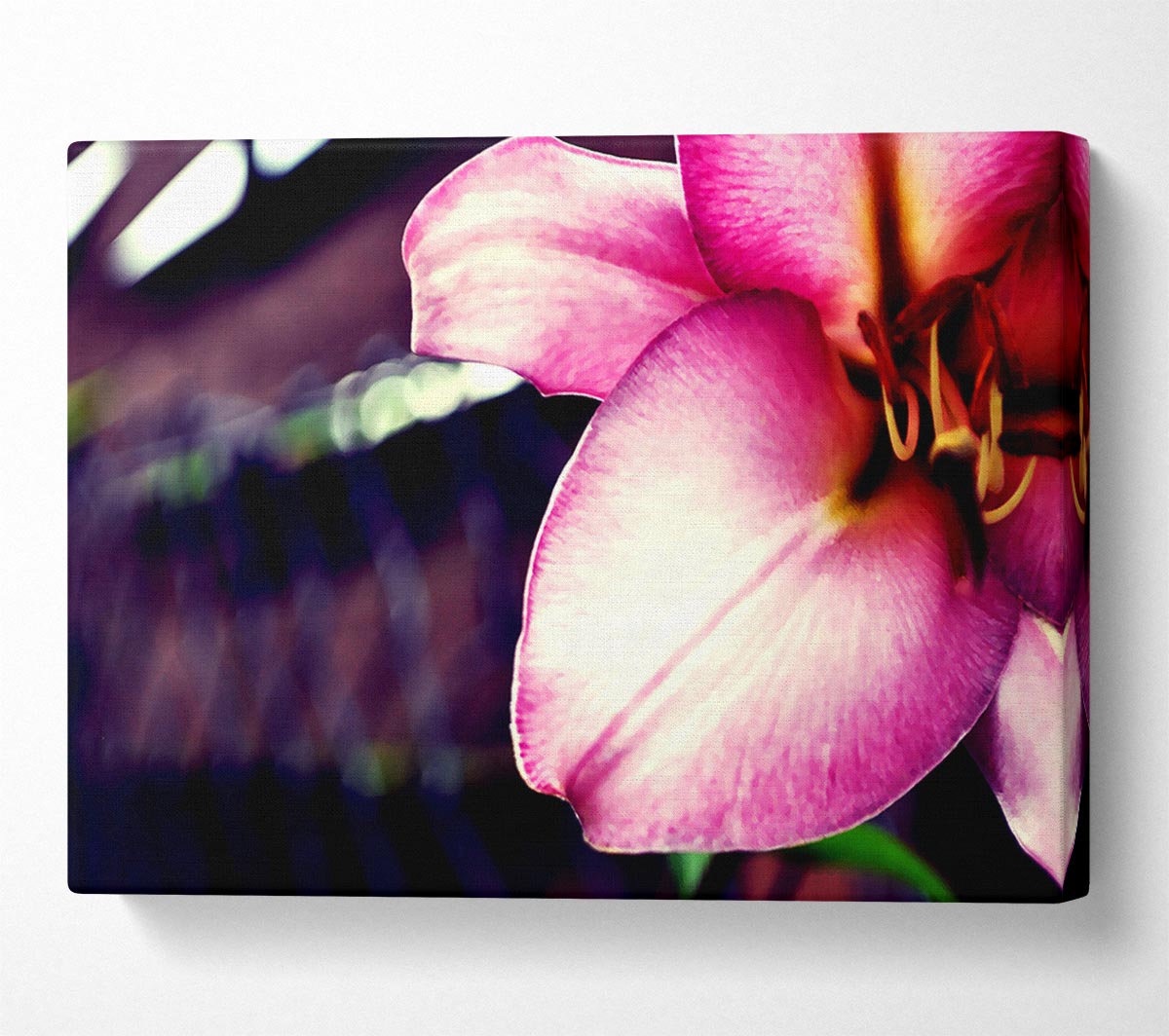 Close_up Of A Pink Petal Canvas Wall Art