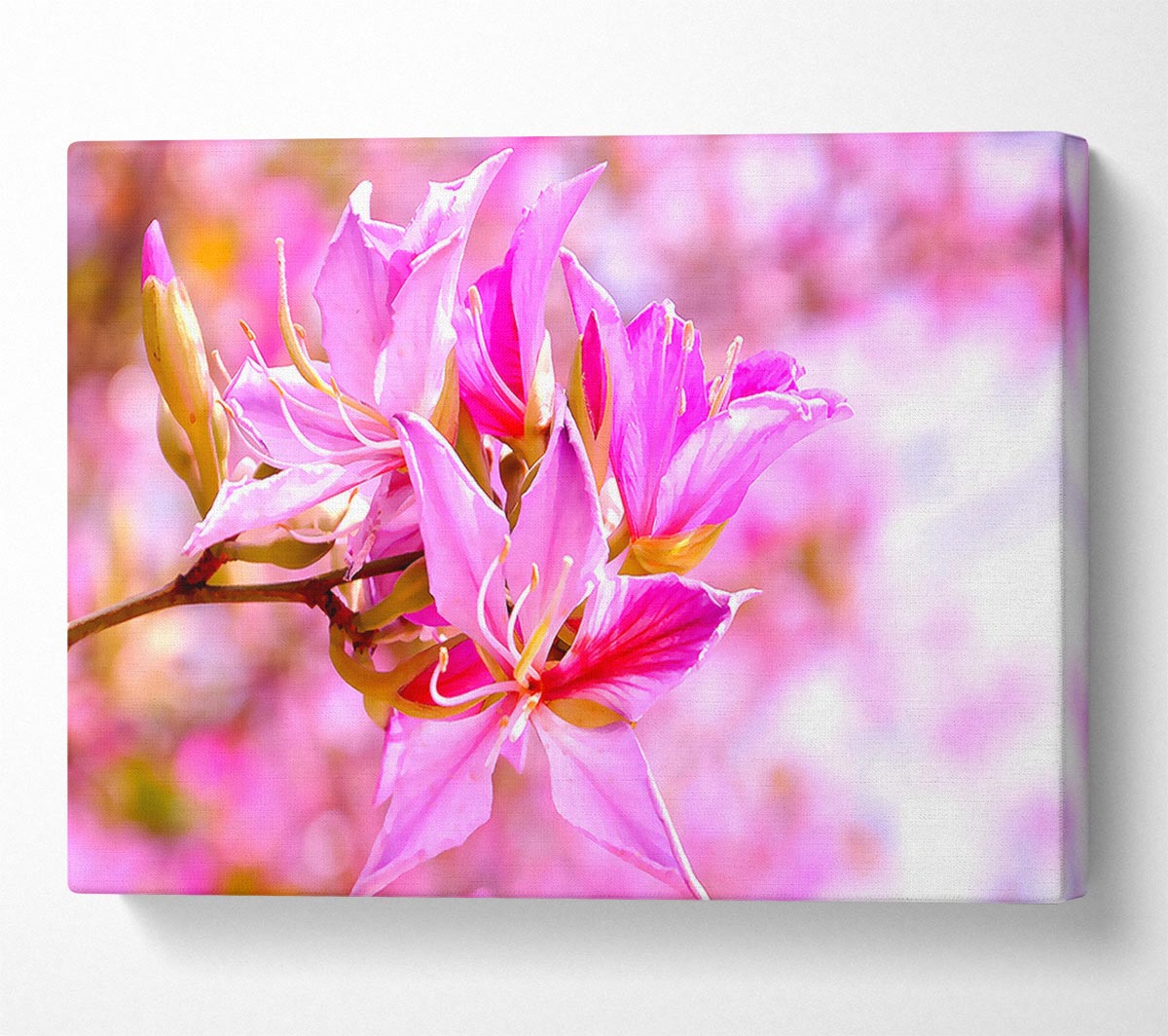 Stunning Deep Pink Flowers Canvas Wall Art