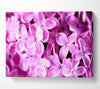 Lilac Flowers Macro Canvas Wall Art