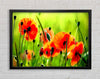Beautiful Poppies Framed Wall Art