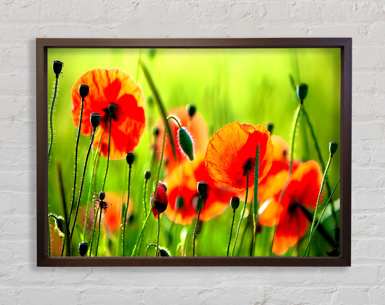 Beautiful Poppies Framed Wall Art