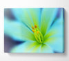 Dreamy Flower Canvas Wall Art