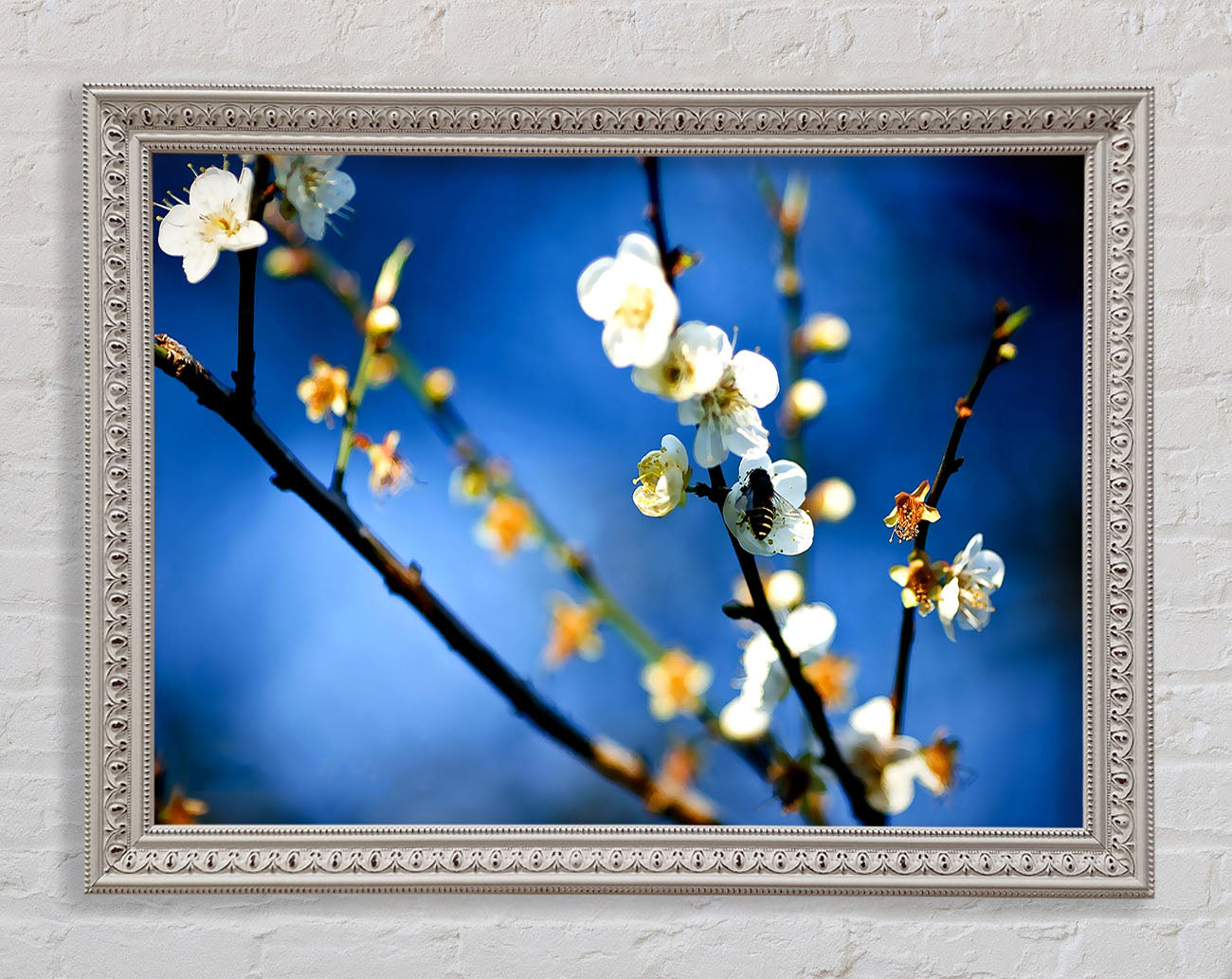 Bee On White Flowers Framed Wall Art