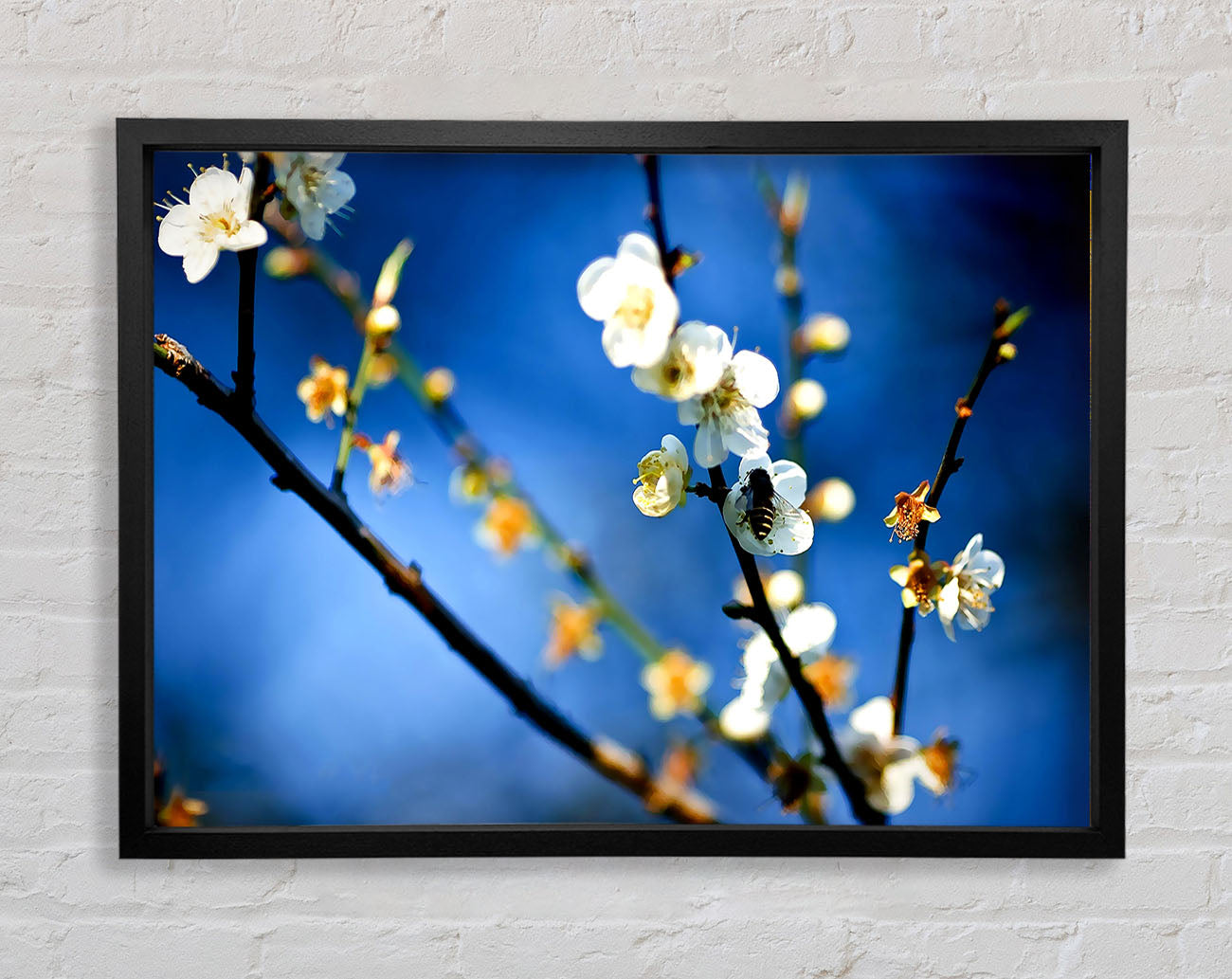 Bee On White Flowers Framed Wall Art