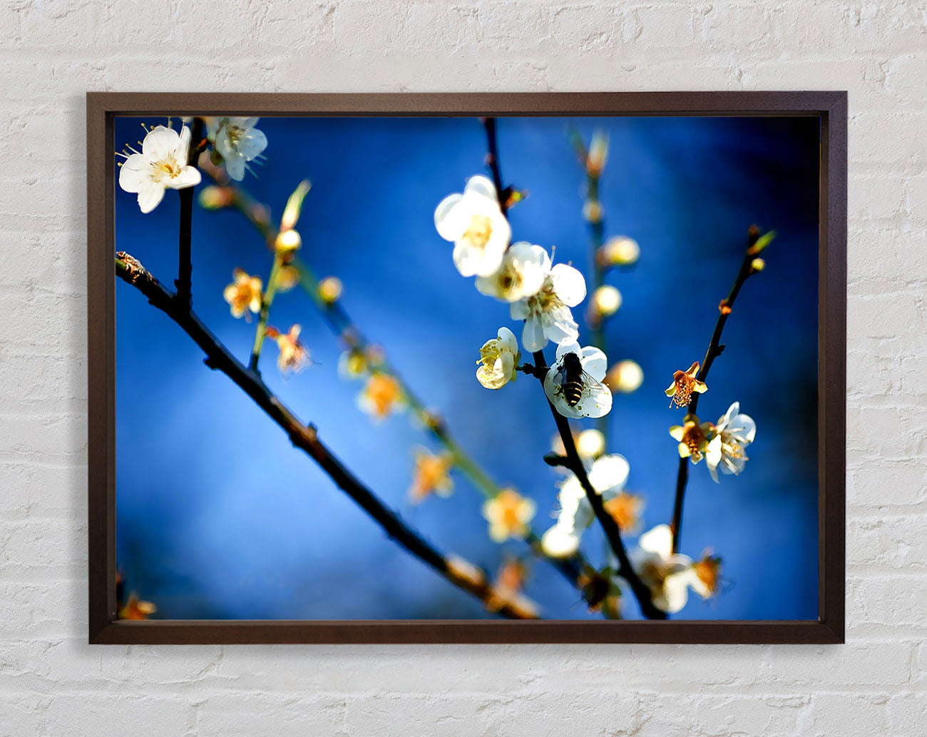 Bee On White Flowers Framed Wall Art