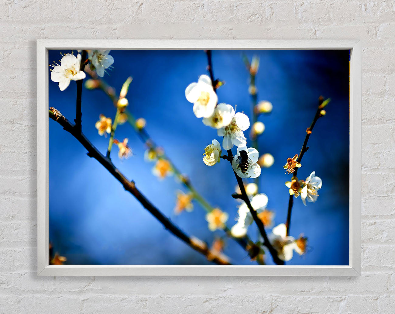 Bee On White Flowers Framed Wall Art