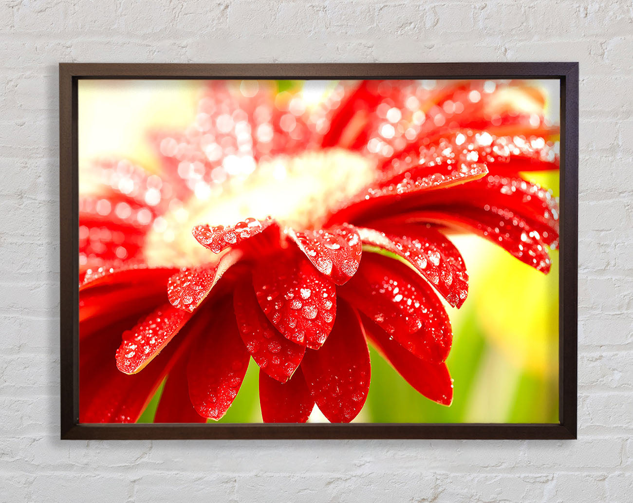 Amazing Red Flower Framed Wall Art