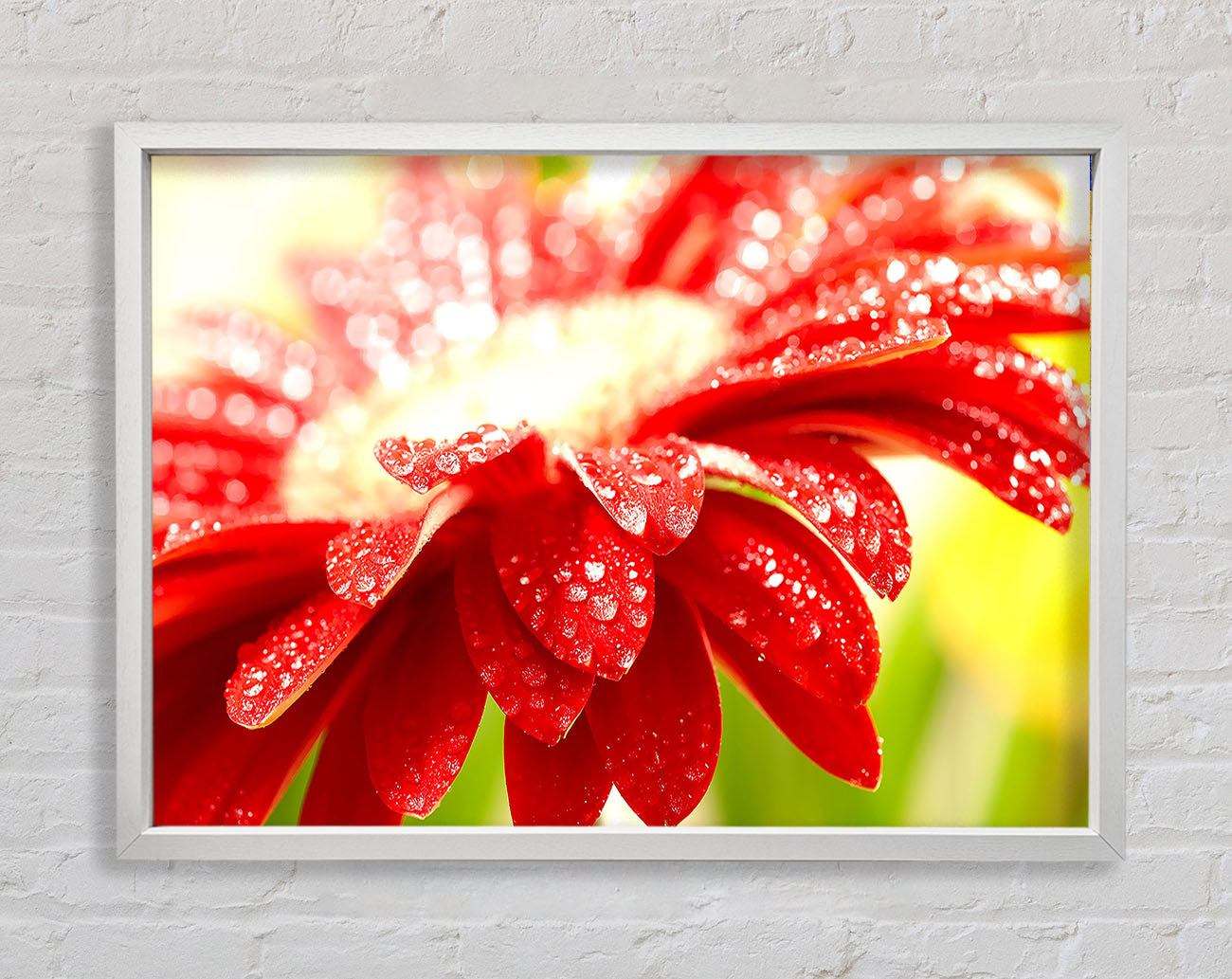 Amazing Red Flower Framed Wall Art