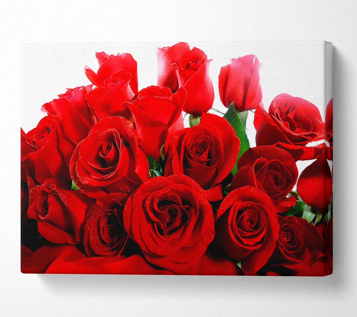 Lovely Red Roses Canvas Wall Art