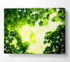 Green Maple Leaves Canvas Wall Art