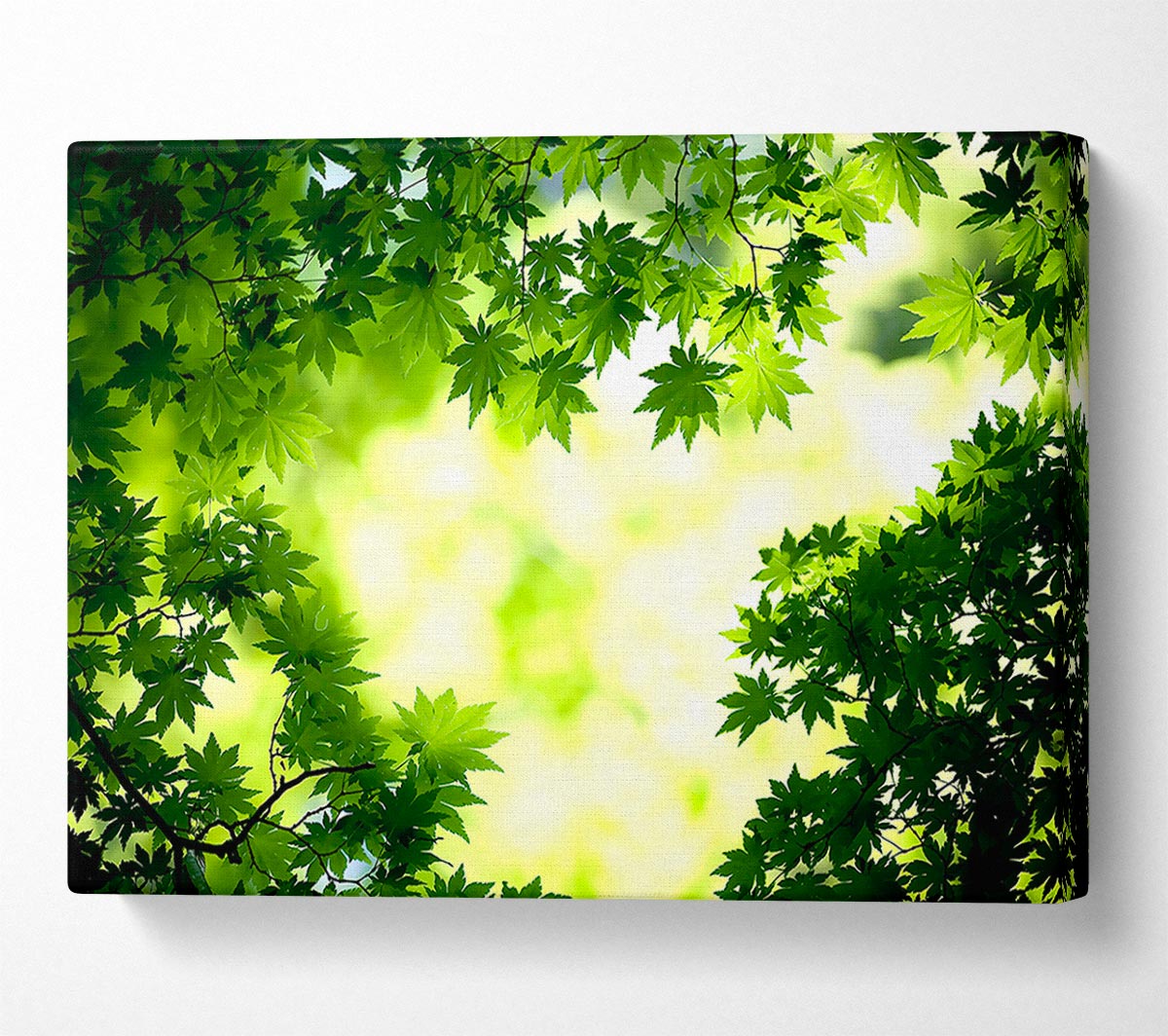 Green Maple Leaves Canvas Wall Art