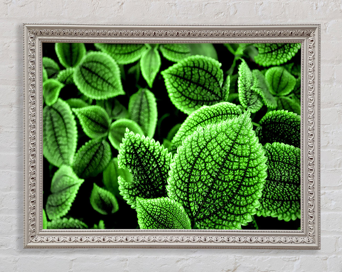 Beautiful Green Leaves Framed Wall Art