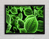 Beautiful Green Leaves Framed Wall Art