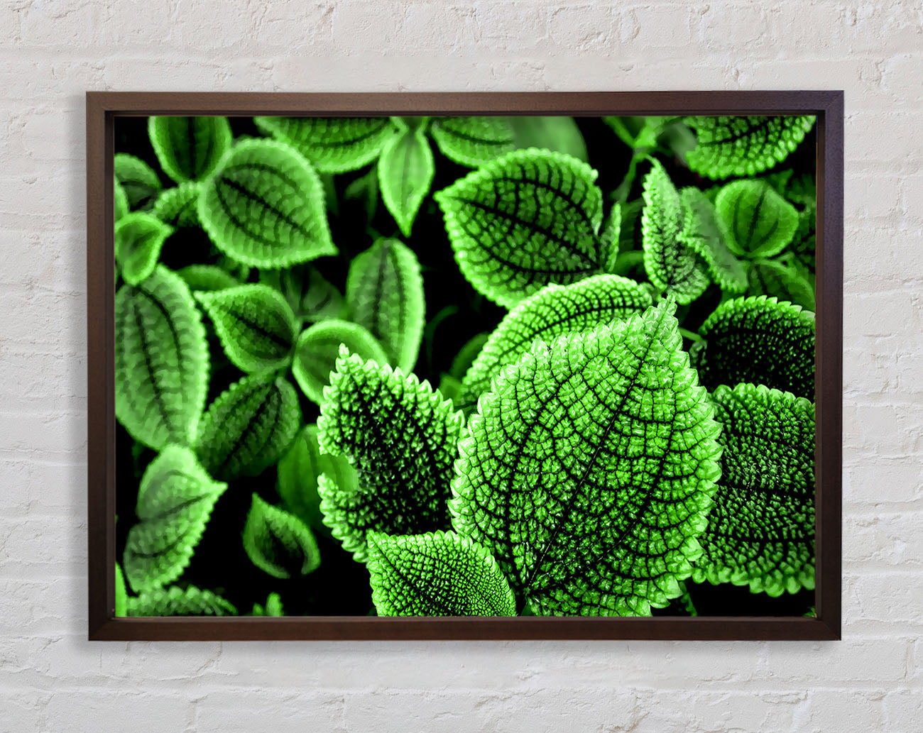 Beautiful Green Leaves Framed Wall Art
