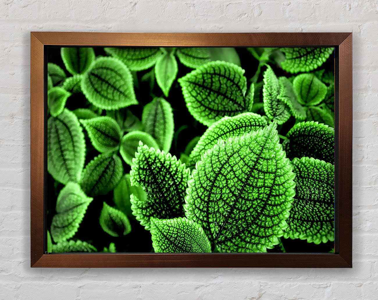 Beautiful Green Leaves Framed Wall Art