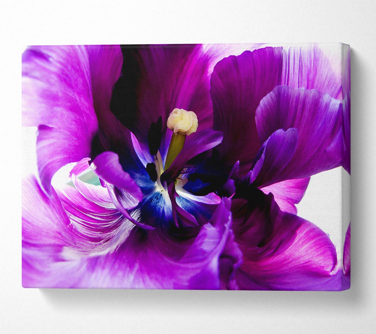 In The Purple Centre Of Beauty Canvas Wall Art