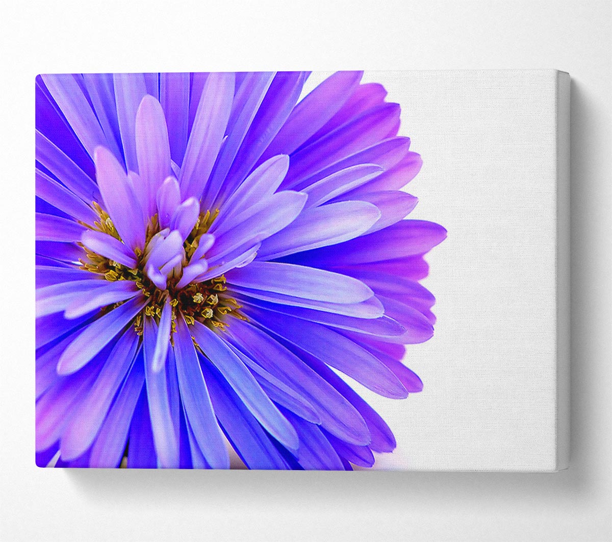 Soft Purple Petals Canvas Wall Art