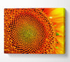 Stunning Sunflower Close-Up Canvas Wall Art