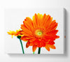 Orange Flames Canvas Wall Art