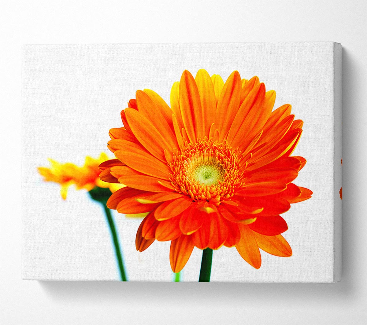 Orange Flames Canvas Wall Art