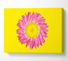 Pink Daisy On Yellow Twist Canvas Wall Art