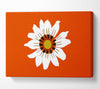 White Daisy Oranges Canvas Wall Art