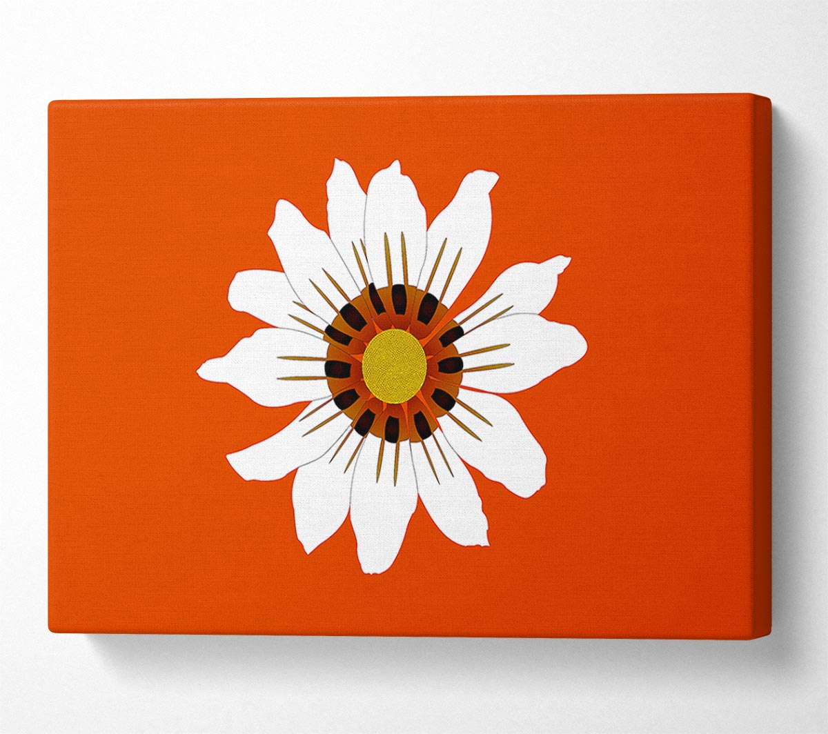 White Daisy Oranges Canvas Wall Art