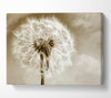 Chocolate Fairy Flower Canvas Wall Art