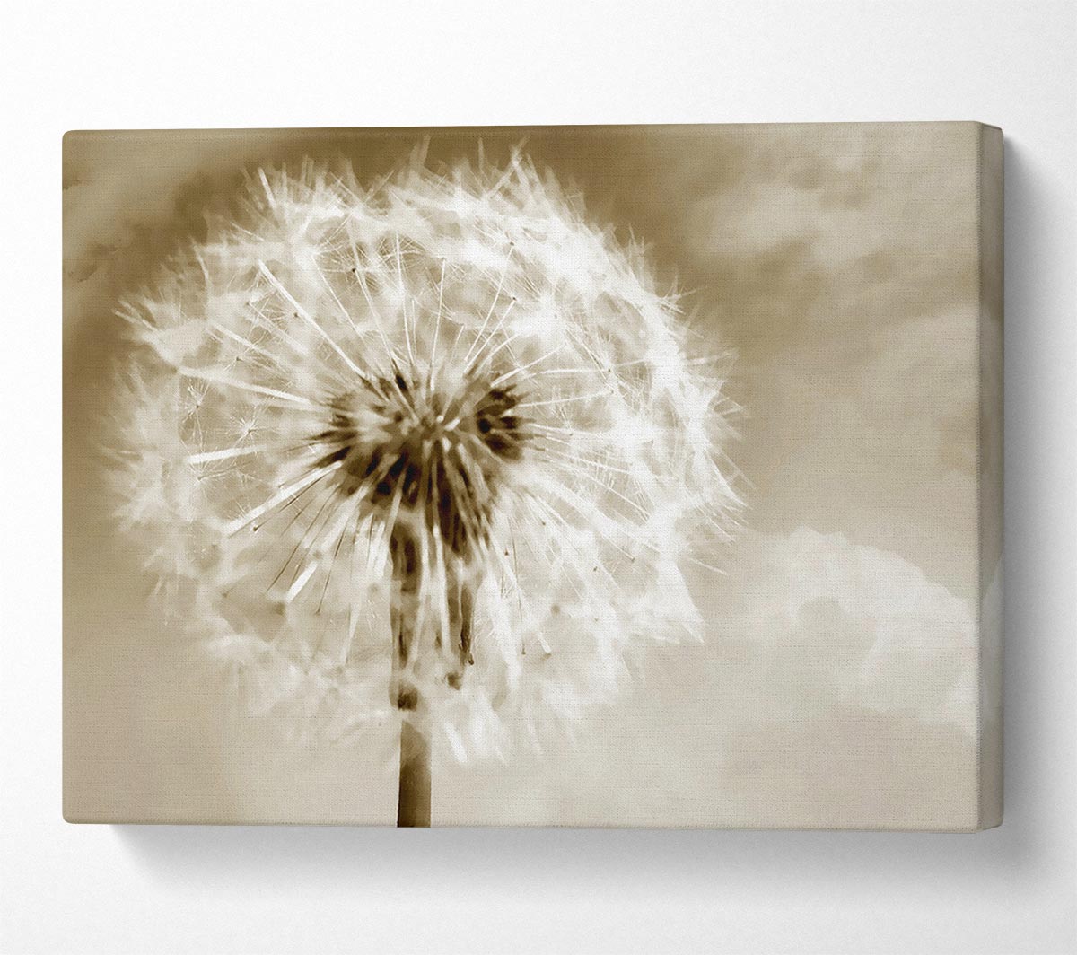 Chocolate Fairy Flower Canvas Wall Art