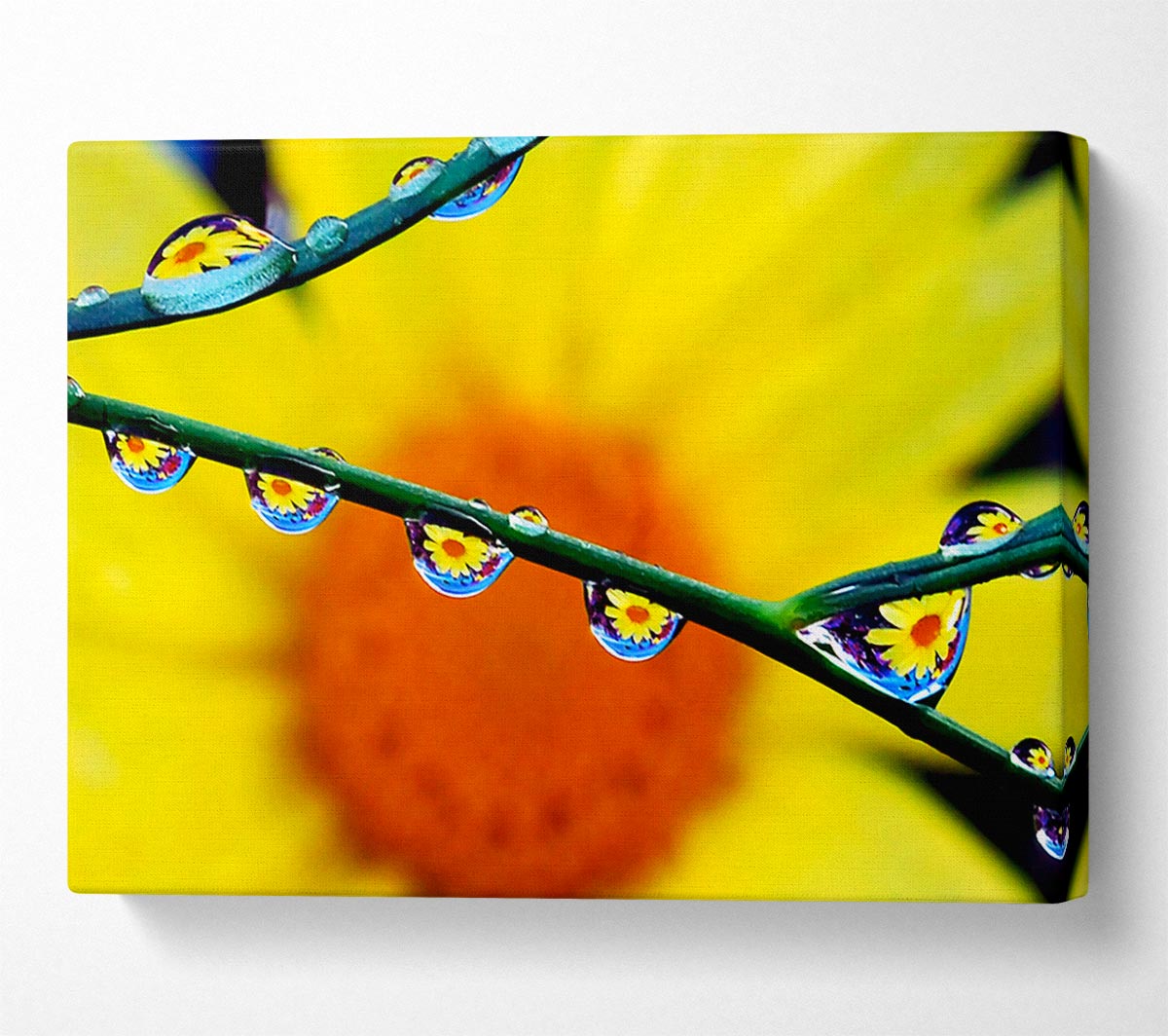 Dewdrop Reflections Canvas Wall Art