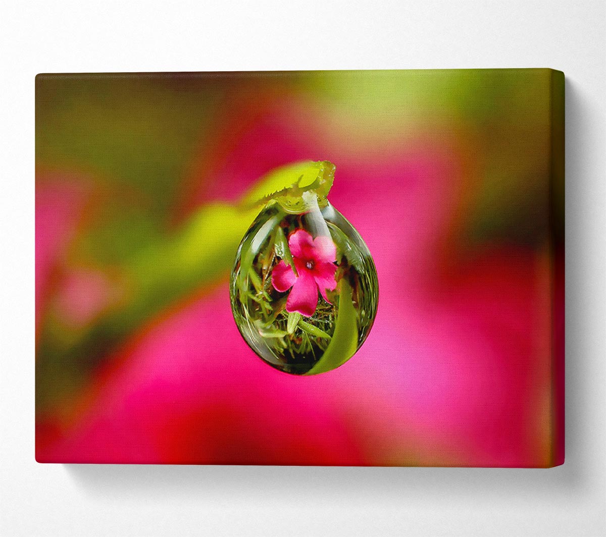 Reflection Of A Pink Flower Canvas Wall Art