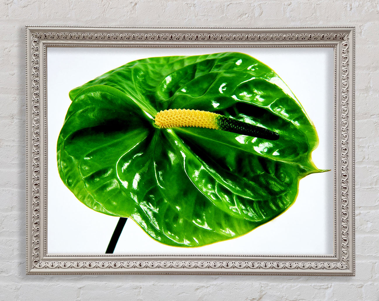 Anthurium Flower Framed Wall Art