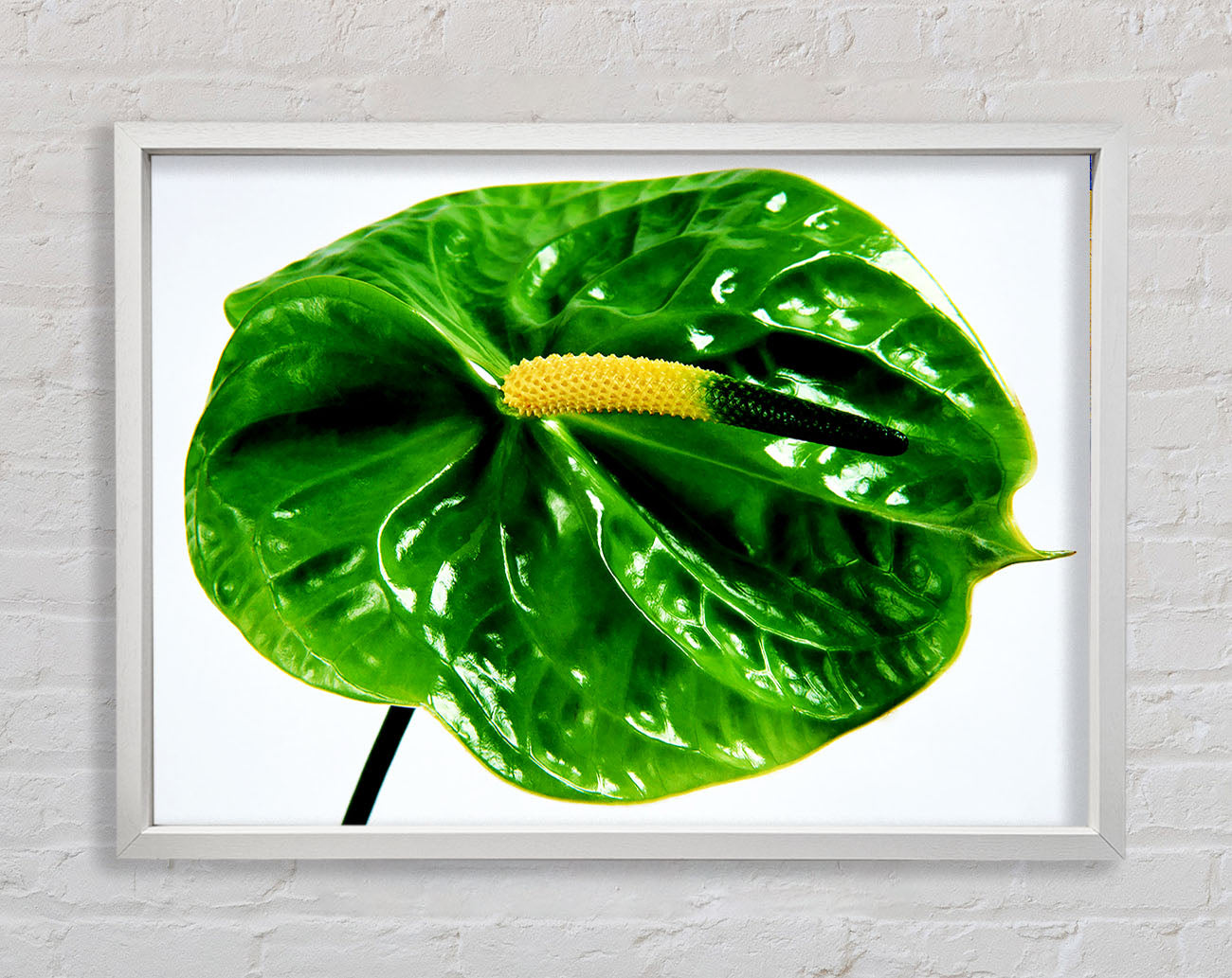 Anthurium Flower Framed Wall Art