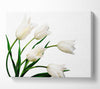 White Tulip Quad Canvas Wall Art