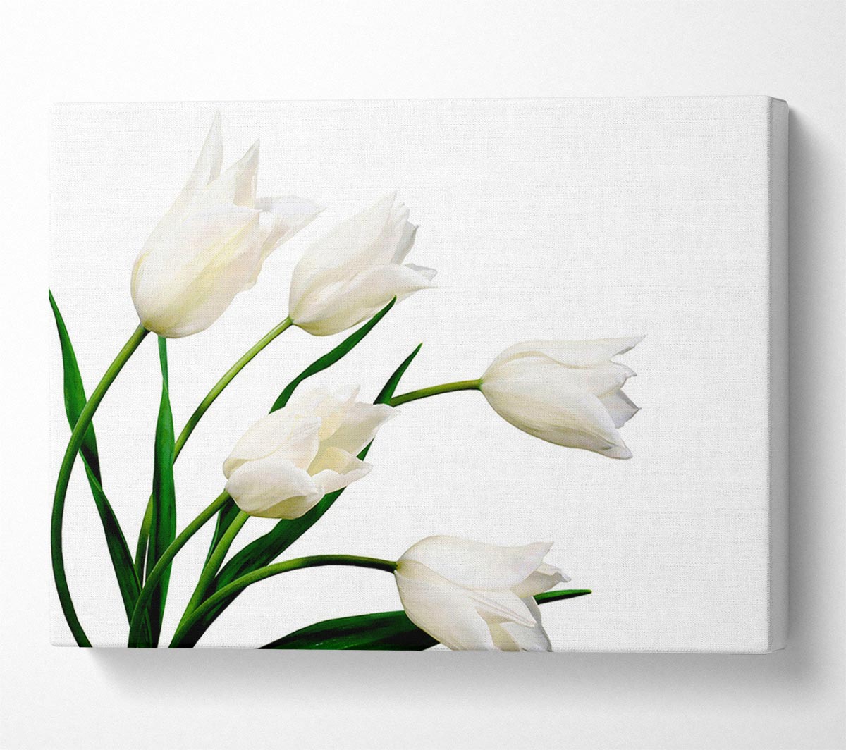 White Tulip Quad Canvas Wall Art