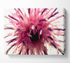 Pink Flower Head Explosion Canvas Wall Art