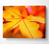 Orange Winter Leaf Canvas Wall Art