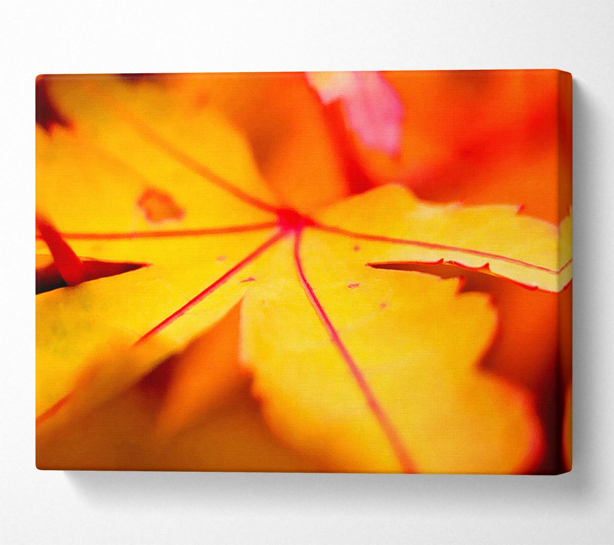 Orange Winter Leaf Canvas Wall Art