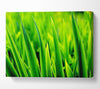 Green Leaf Shafts Canvas Wall Art