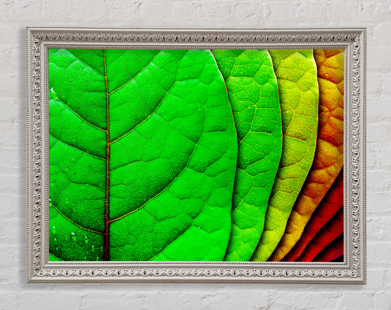 Colour Of Leaves Framed Wall Art