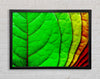 Colour Of Leaves Framed Wall Art
